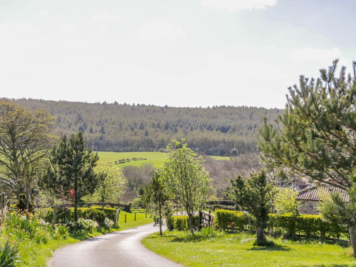 Honey Bee Cottage สการ์โบโรห์ ภายนอก รูปภาพ